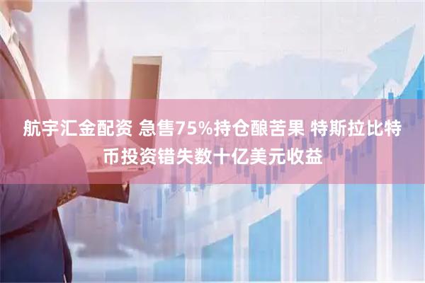 航宇汇金配资 急售75%持仓酿苦果 特斯拉比特币投资错失数十亿美元收益