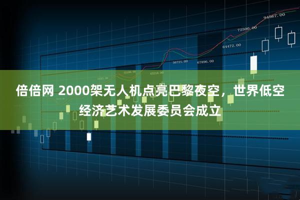 倍倍网 2000架无人机点亮巴黎夜空，世界低空经济艺术发展委员会成立