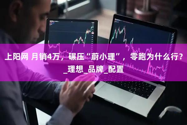 上阳网 月销4万，碾压“蔚小理”，零跑为什么行？_理想_品牌_配置